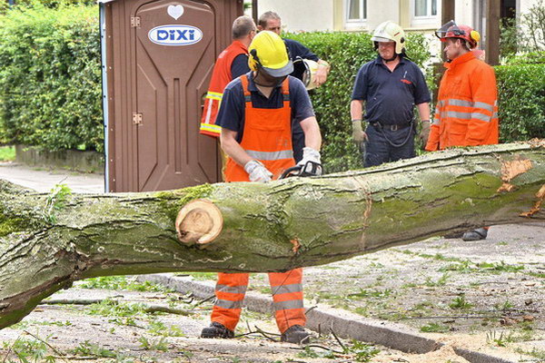 Feuerwehr_Baum   042.jpg